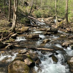 Meet your Posher, Gillian